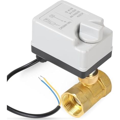 Vanne à bille motorisée SAWIS 2 voies avec fonction manuelle, DN25 1 pouce, 220 V CA, vanne de zone à 2 fils (1/5)