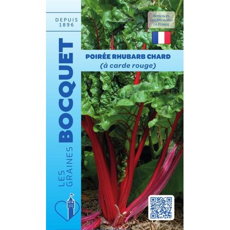 Poirée à carde rouge - 4g