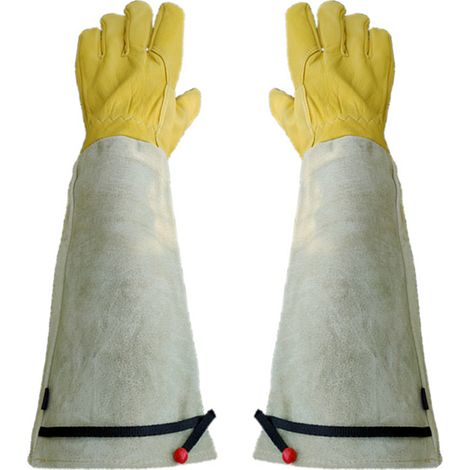 paire de gants de jardinage - L (dorés) (1/5)