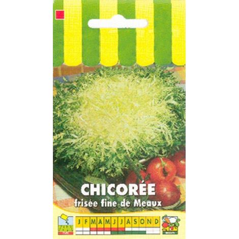 Chicorée frisée fine de Meaux - 3g