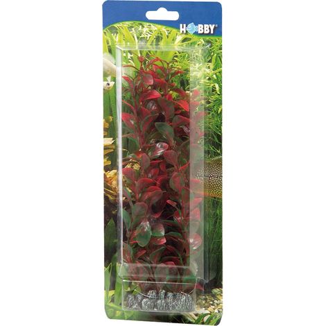 Hobby Ludwigia, 25 cm - Kunststoffpflanze für Aquarien (1/2)