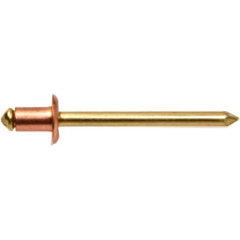 500 Rivets Aveugles Tête Ronde GORIVET TRS 4 x 8 mm - Cuivre/Laiton - D-Work