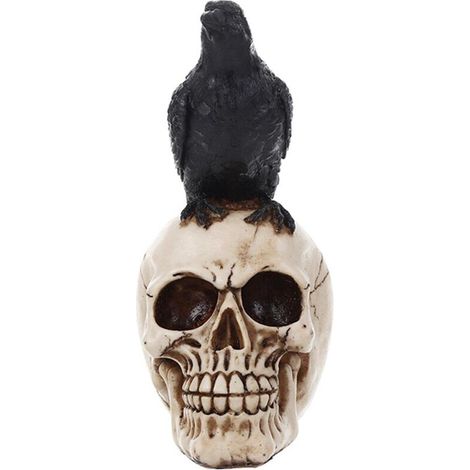 Corbeau - Statue Crâne - Sculpture Macabre en Résine pour Décoration Halloween - Hauteur 22 cm - 1 Pièce (1/5)