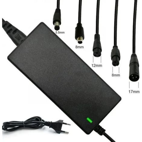 Chargeur Pour Trottinette Electrique - 42 V 2 A - 5 Interfaces De Connexion - Compatible Batteries Lithium 24 V À 36 V - 1 Pièce (1/2)