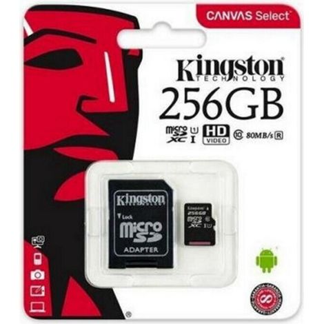 Kingston Technology Canvas Select Plus 512 GB SDXC UHS-I Clase 10 (1/5)