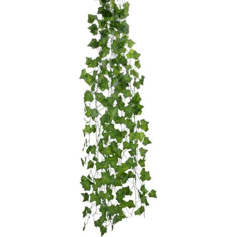 Guirlande De Lierre Artificiel - Détails De Veines Réalistes - Décoration Murale Pour Mariage Et Fête - Lot De 12 Pièces De 240 Cm (1/5)