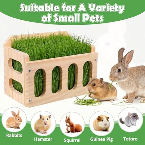 Mangeoire à foin en bois pour lapin, cochon d'Inde, chinchilla, hamster, petit animal