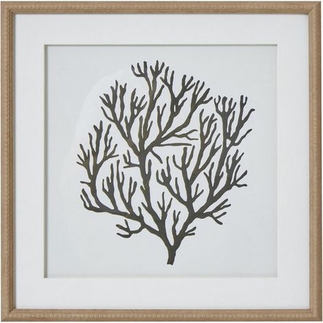 Atol Coral Art Mounted in Beaded Frame - Glass - L2 x W40 x H40 cm - Brown