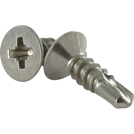 Vis autoperceuse Inox A2 Tête fraisée Phillips 4.2X19-1 pièce (1/4)