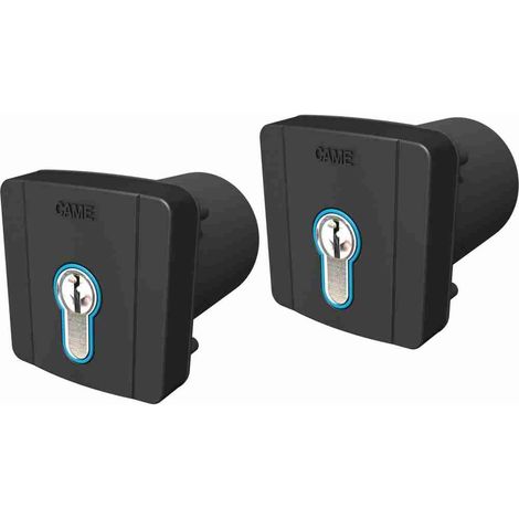 Kit Paar mit 2 versenkten Schlüsselwählern CAME SELD2K01 8K06SL-005