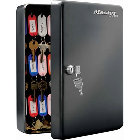 Master Lock KB-50ML Armario [Montaje en Pared] [50 Ganchos] KB-50ML-50 Etiquetas para Llaves