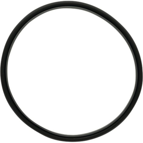 Bague d'étanchéité Dana Spicer