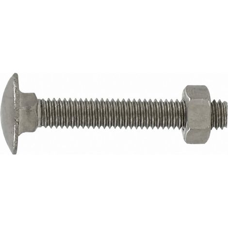 Bullone a testa tonda in acciaio inox A2 6x40 mm a collo quadrato, 4 pezzi.