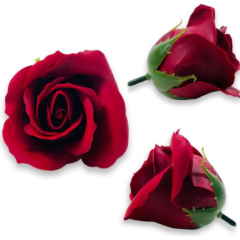Rosa de jabón de Borgoña (1/5)