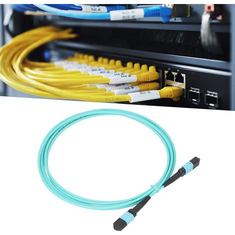 OM3 10 Gigabit 8-adriges Multimode-Glasfaser-Patchkabel MPO-MPO (1/5)