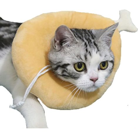 Collier de convalescence post-opératoire pour chiens, collier de protection et de guérison pour chiens, chats et poules (1/3)