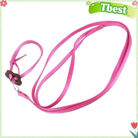 HURRISE Harnais pour oiseaux laisse de perroquet HURRISE Harnais de perroquet (Rouge) Harnais Pour Oiseaux animalerie jouet Rose (1/5)