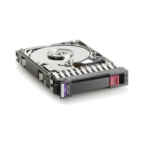 HP Enterprise 300GB 10.000 rpm 2,5" SAS, 493083-001