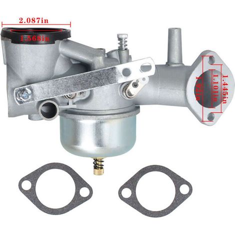 Passend für Briggs & Stratton 491026, 491031, 490499, 281707, 12 PS Vergaser (1/5)