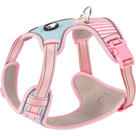 Filiyano-Laisse réglable pour chien, sangle de poitrine anti-explosion, laisse réfléchissante, chaîne pour chiens de grande, moyenne et petite taille (1/5)