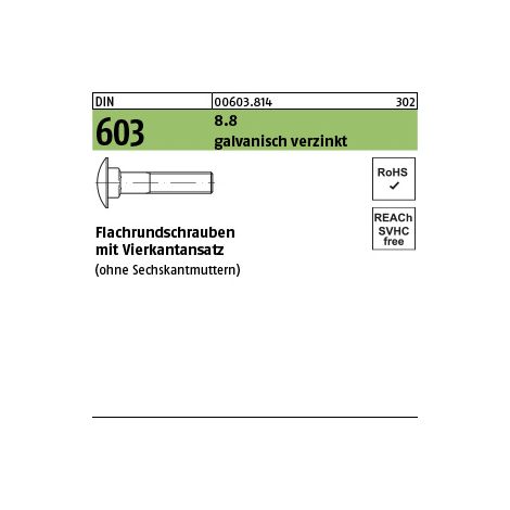 DIN 603 Flachrundschraube M8x55 Stahl 8.8 galvanisch verzinkt m. Vierkantansatz 100 Stk (1/3)