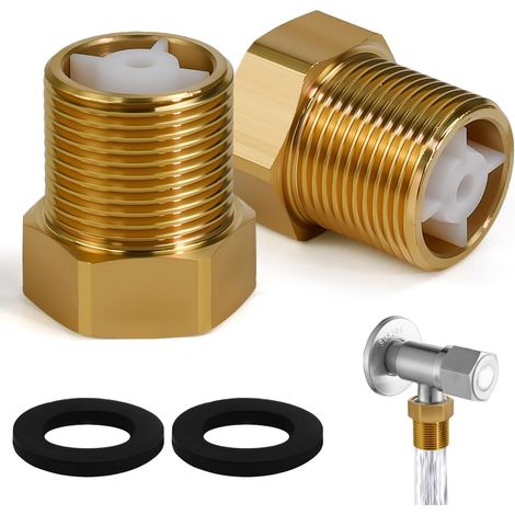 2 Pcs Brass Check Valve, Water Check Valve with Sealing Seal, G3/4 Inch Anti-Turnover Device, Water Check Valves, for Washing Machine Pump Garden Swimming Pool (1/5)