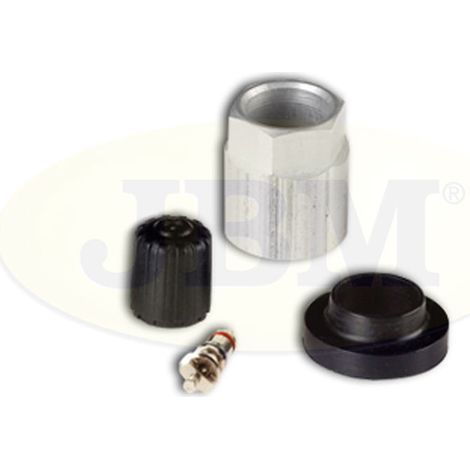 REMPLACEMENT DU KIT TPMS SCHGEN 2/3  JBM12909