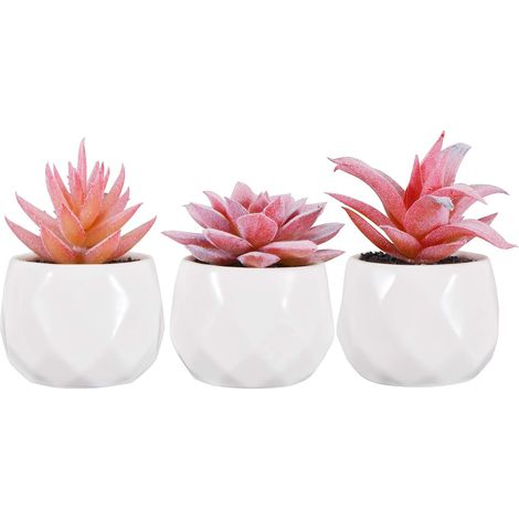 Lot de 3 Petites Plantes Succulentes Artificielles Intérieur en Pot (1/5)