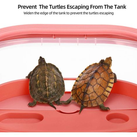 Aquarium Tortue - Bac Reptile avec Plateforme et Rampe - Séparation Humide/Seche - Pour Tortues, Crustacés et Amphibiens - Rose - 1 Pièce (1/5)