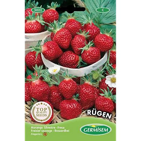 Germisem Rügen Semi di Fragola 0.3 g (1/2)