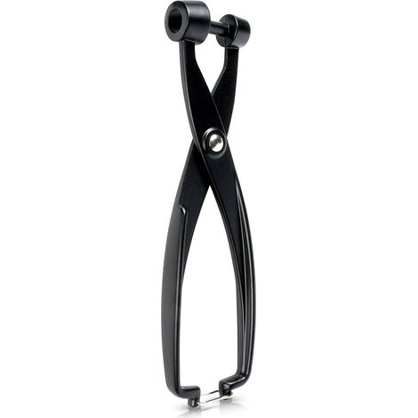 Cherry & Olive Pitter, Black Aluminum, 19 cm (1/5)