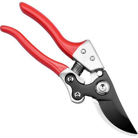 Cisailles de Jardin pour Taille d'Arbres Fruitiers et Coupe de Branches - Outils d'Élagage et de Jardinage (1/5)