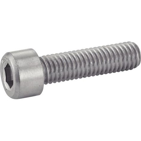 Tornillos acton dn 912 acero inoxidable 4 cm x 8 mm