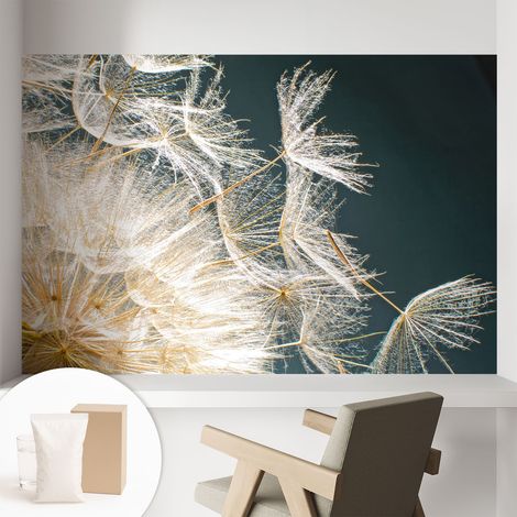 Tapete Dekorative Vliestapete mit Klebe für Wand - Mustertapete - moderne Einrichtung - für Büro Luftiger Pusteblume 104x70 cm (1/5)