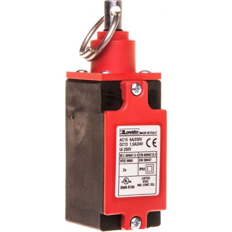 1NO+1NC 25N Hebelzugschalter RS11310