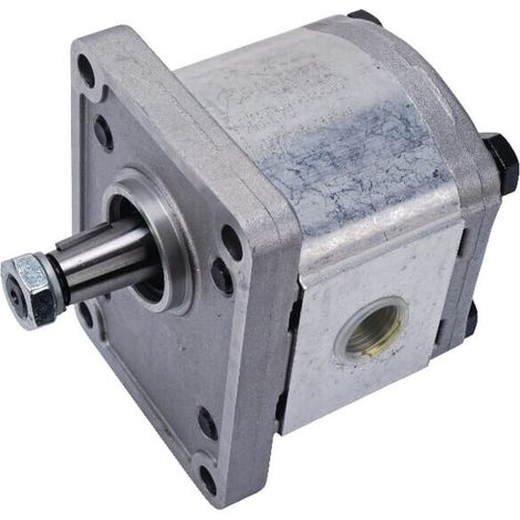 Pompe CASAPPA PLP204D082E2G (1/5)