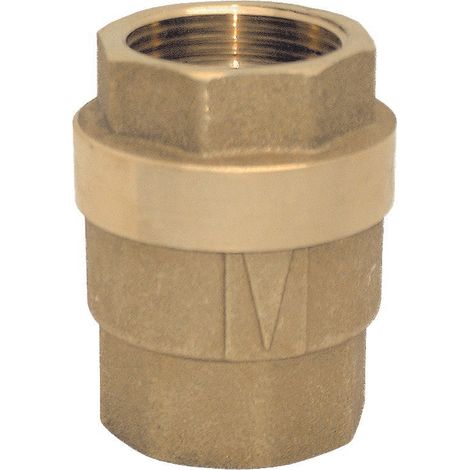 Clapet anti-retour 1/2 "ff