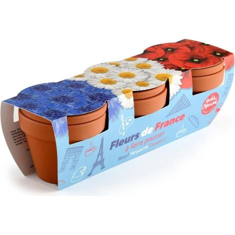 Trio fleurs bleu blanc rouge (1/5)