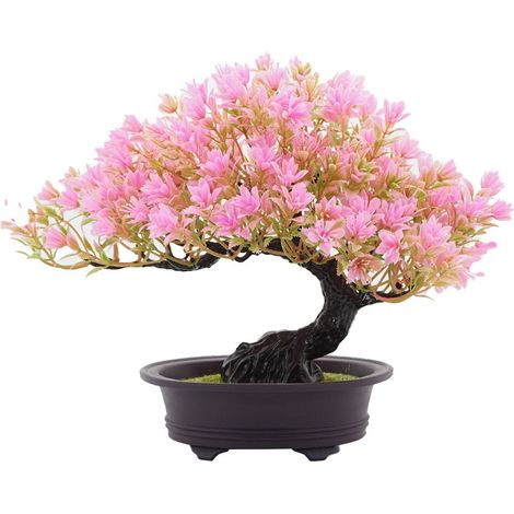 Bonsai Pin Artificiel - Hauteur 24 cm - Largeur 32 cm - Pot Carré 6,1 x 6,1 x 2,1 cm - Décoration Intérieure - 1 Pièce (1/5)