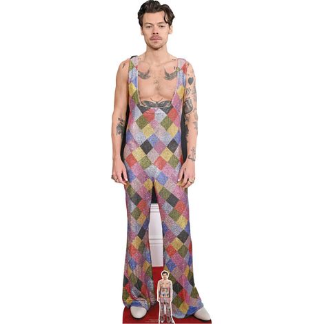 Figurine en carton Harry Styles en Salopette multicolore - Chanteur Britannique - Haut 185 cm (1/4)