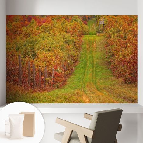 Tapete Vliestapete mit Kleber- abwaschbar - Raumgestaltung Schlafzimmer Wohnzimmer Tapete Herbstfarben 104x70 cm (1/5)
