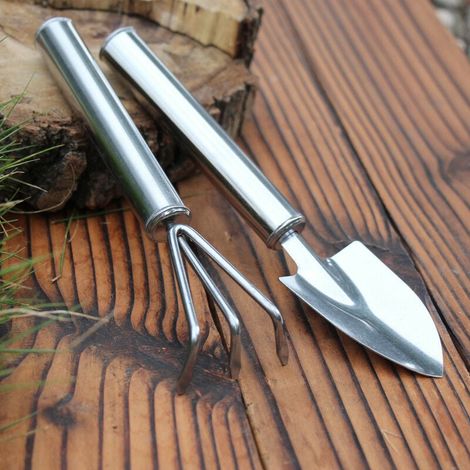 Ensemble Mini Jardinage Plante Pot Outils Petit Pelle Rateau Jardinage Travail pour Plantes ucculentes Cactus Plantes D'intérieur Miniatures(Acier Inoxydable) 2 Pièces (1/4)