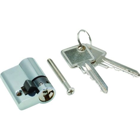 Profil semi-cylindre, Accessoire, avec deux clés - HAGER ZAY50994