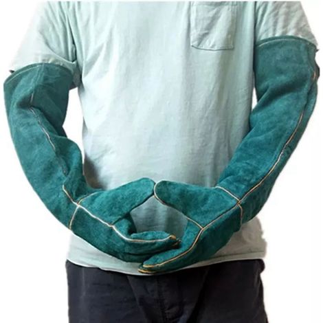 Gants anti-morsure pour animaux, non rayants, protection pour toilettage, soudure électrique et outils, taille unique, 60 cm, vert foncé. (1/5)