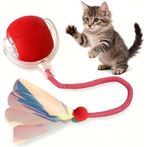 Balle jouet automatique pour chats d'intérieur – Jouet électronique interactif et autonome pour chats  rechargeable par USB, roule silencieusement  aide à combattre l'ennui et encourage l'activité (1/4)