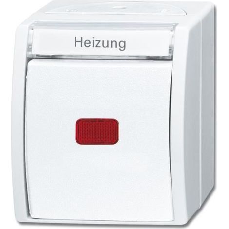 Interruptor Busch-Jaeger 2601/6 skwnh-54 10 A 250 V