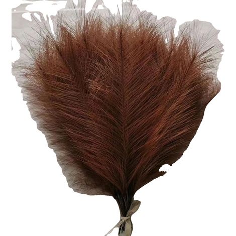 Herbe de Pampas Artificielle, Décor Polyvalent, Design Durable, 5pcs, couleur 2 (1/2)
