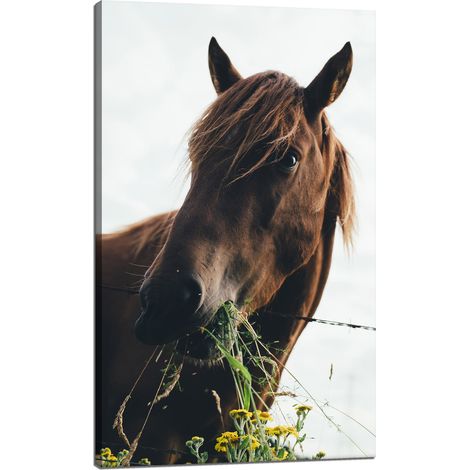 Lienzo impreso con la imagen de una cabeza de caballo (60x100 cm) y un establo.