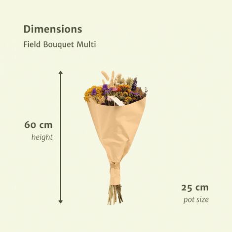 Bouquet de fleurs séchées Field Multi – Décoration intérieure colorée, hauteur 25-60 cm - PANGIVO (1/4)