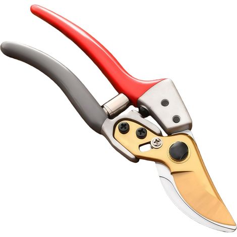 Sécateur de Jardin Professionnel, Lame en Acier SK5, Capacité de Coupe 25 mm, Coupe-Branches Ergonomique pour Arbres et Arbustes, Durable, Longueur 21 cm